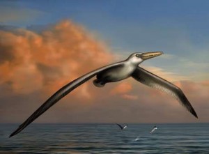 Museu reconstruiu imagem de como seria a maior ave que já existiu na Terra