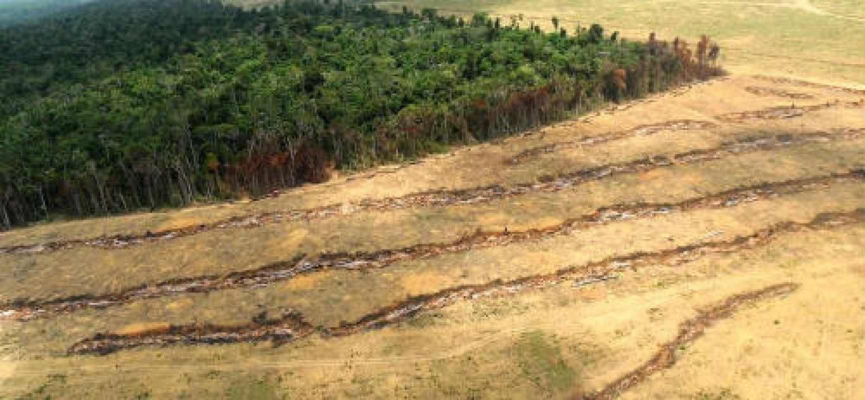 Imazon detectou, em outubro de 2014, um aumento do desmatamento na Amazônia de 467% em relação a 2013
