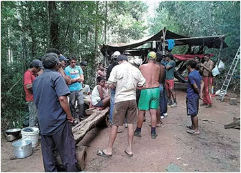 Trabalhadores protestam contra o manejo florestal realizado no local pela empresa Jari Celulose - Grupo Jari