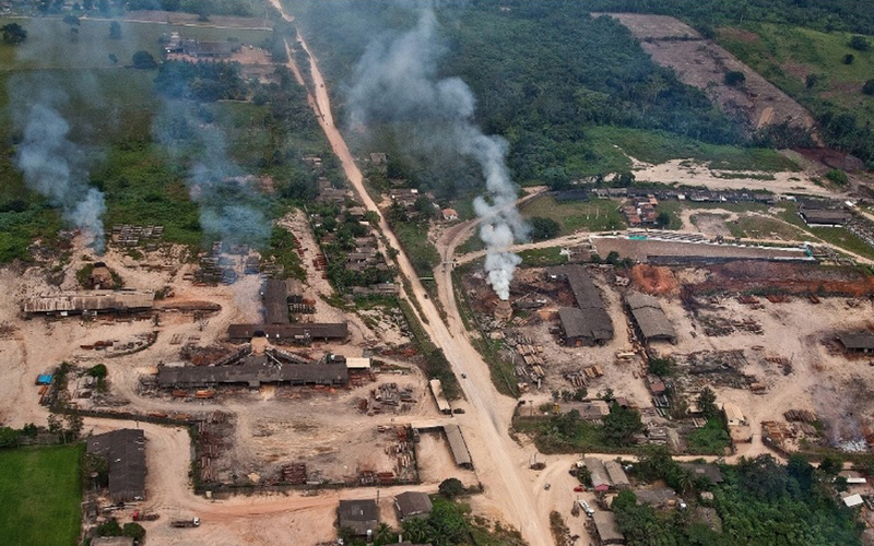 Foto: Rogério Assis/Greenpeace