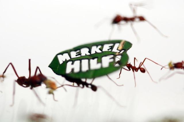 Formigas "protestam" em zoo alemão para pedir proteção à Amazônia OLIVER BERG/DPA