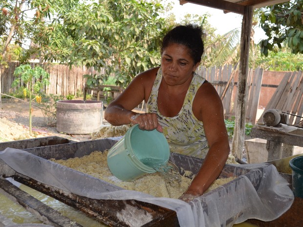 Massa da mandioca (Foto: Aritana Aguiar/Do G1 Santarém) Mandioca moída sendo lavada (Foto: Aritana Aguiar/G1)