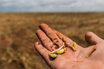 Agricultura na região amazônica