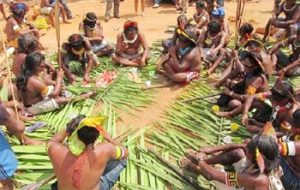 Aldeia Indigena