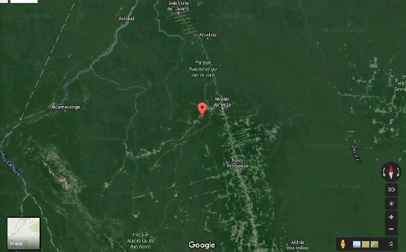  Criada em fevereiro de 2006 pelo Decreto Presidencial nº 10.770, a Flona do Jamanxim está localizada a noroeste da BR-163, na divisa entre os estados do Pará e Mato Grosso. Tem um perímetro de 1.301.120 hectares.