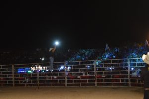 DSC_0281