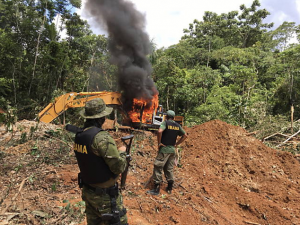Ibama destrói escavadeira de garimpo avaliada em R$ 500 mil dentro da Terra Indígena Parque do Aripuanã (MT)