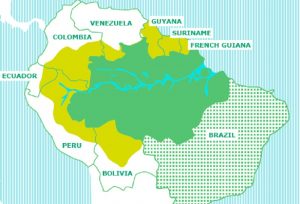 20170209_00_floresta_amazonica