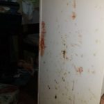 IMG-20170610-WA0002
