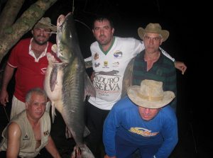 Piraiba de 72 quilos é pescada no rio Jamanxim (Foto em 2010)