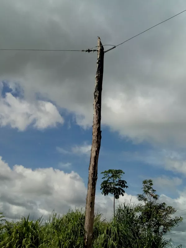 Celpa retira ligações clandestinas instaladas na PA-150 — Foto: Divulgação 
