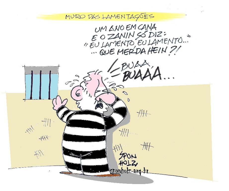 lula charge