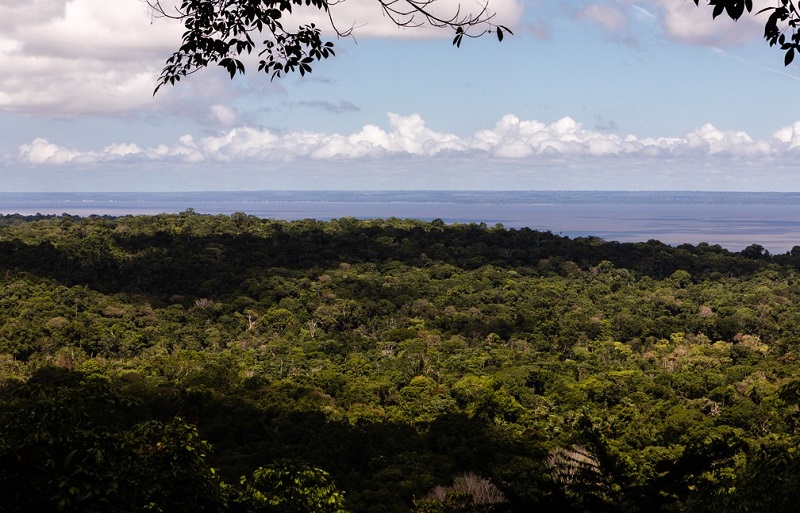 Floresta Nacional do Tapajós e o Rio Tapajós ao fundo —