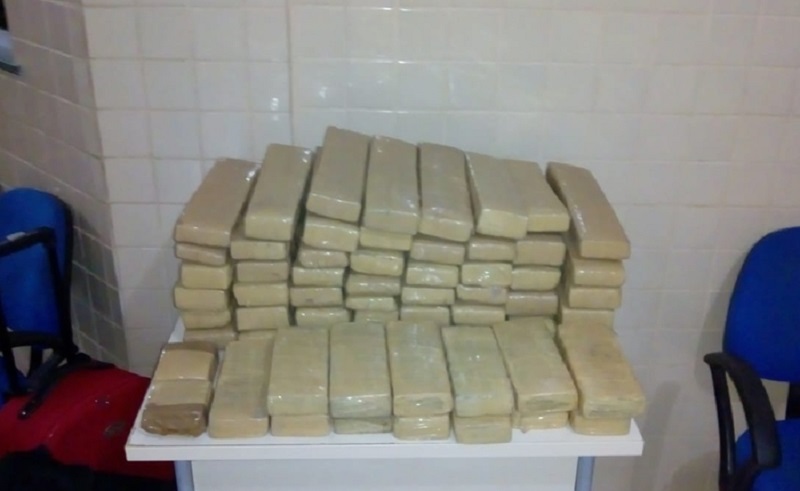 maconha-apreendida