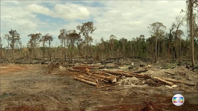 Desmatamento na Amazônia aumenta em junho