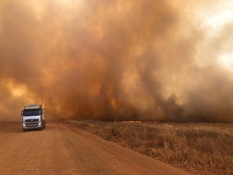  Um incêndio de grande proporção atingiu fazendas na manhã deste sábado (17) no município de Campo Novo do Parecis — Foto: Willian Tessaro/ Portal Campo Novo