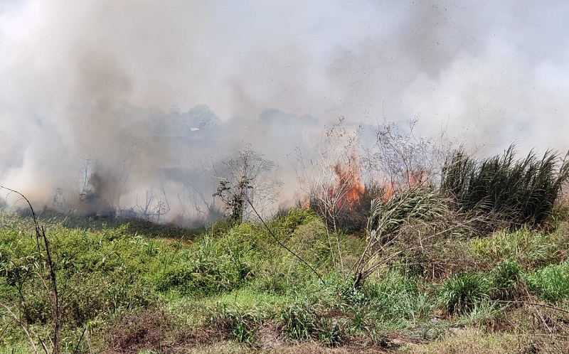 Dia do Fogo em Novo Progresso (Foto: Jornal Folha do Progresso)