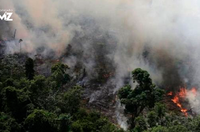  7 fatos para entender a crise das queimadas (Nacho Doce/Reuters) 