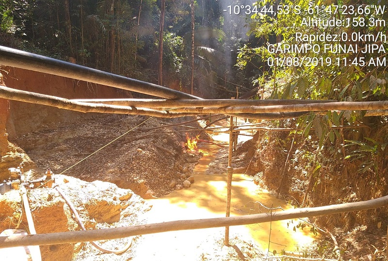  Dano ambiental na reserva invadida já é grande — Foto: PMA/Divulgação