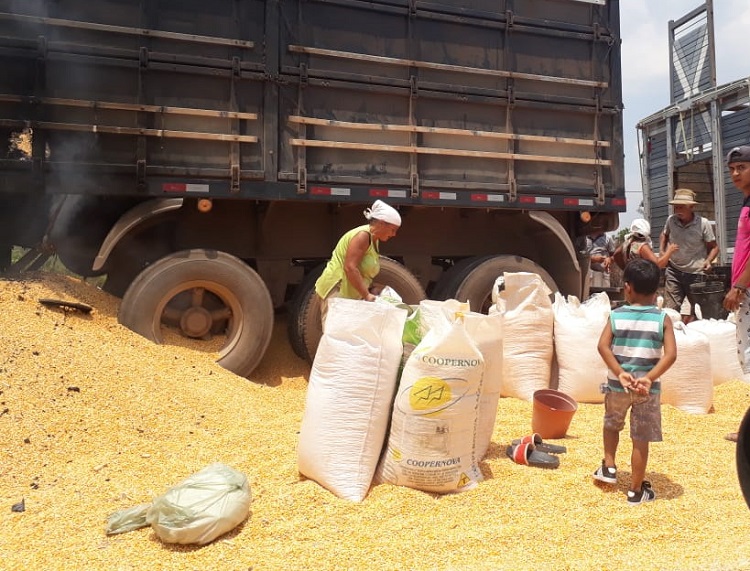 Populares Sagueando a carga de milho (Foto:Jornal Folha do Progresso)