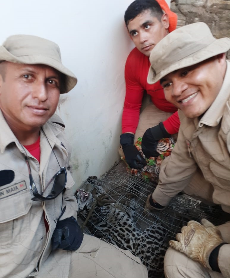 (Foto:Bombeiro Divulgação)