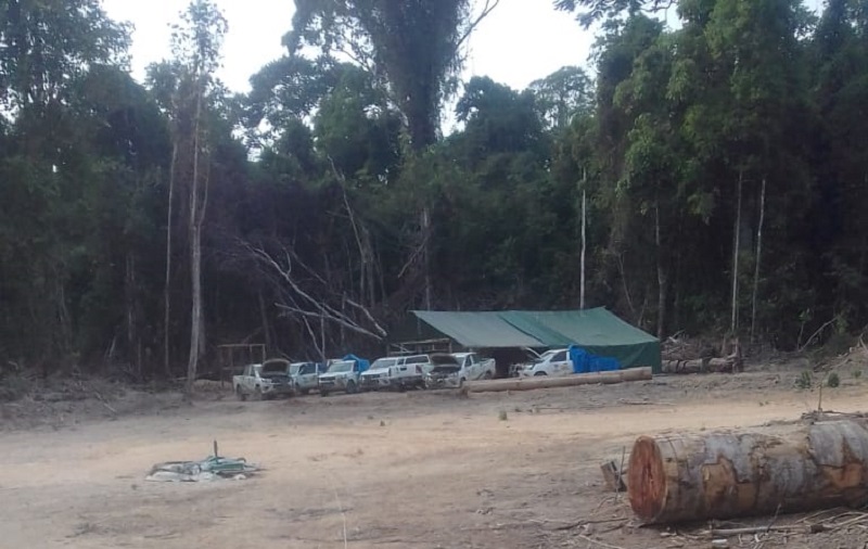 Base do Ibama dentro da Floretsa (Foto:WhatsApp Jornal Folha do Progresso)