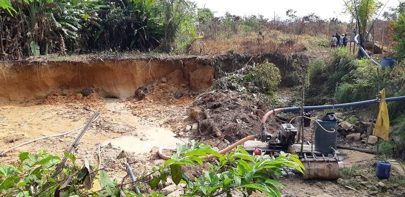  Exploração ilegal foi descoberta em sítio — Foto: Polícia Civil-MT/ Divulgação