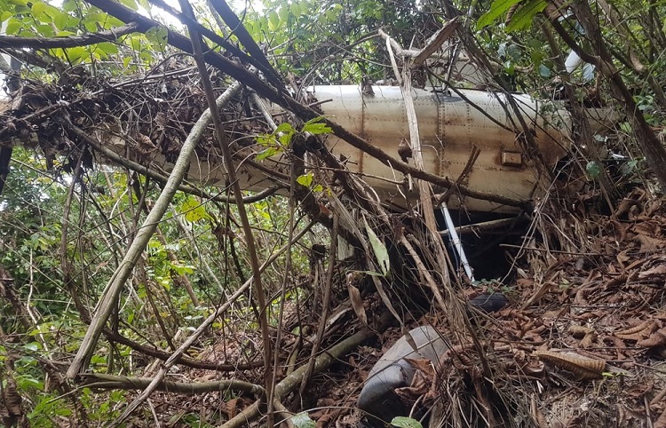 Avião é encontrado após acidente no Pará. — Foto: Reprodução