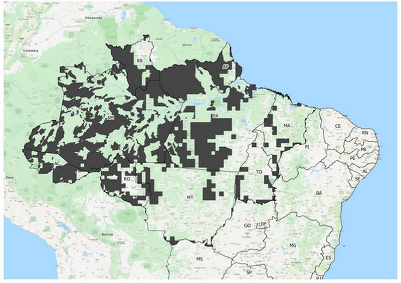  Mapa mostra, em cinza, 20% do território brasileiro que está no escuro — Foto: IEMA/Divulgação