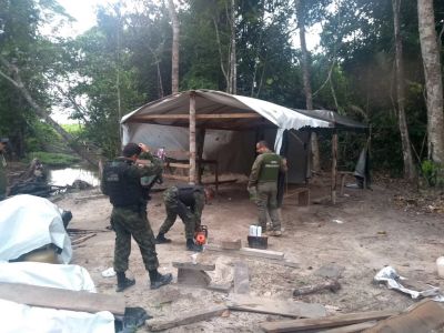 As equipes destruíram acampamentos clandestinos Foto: ASCOM / SEMAS