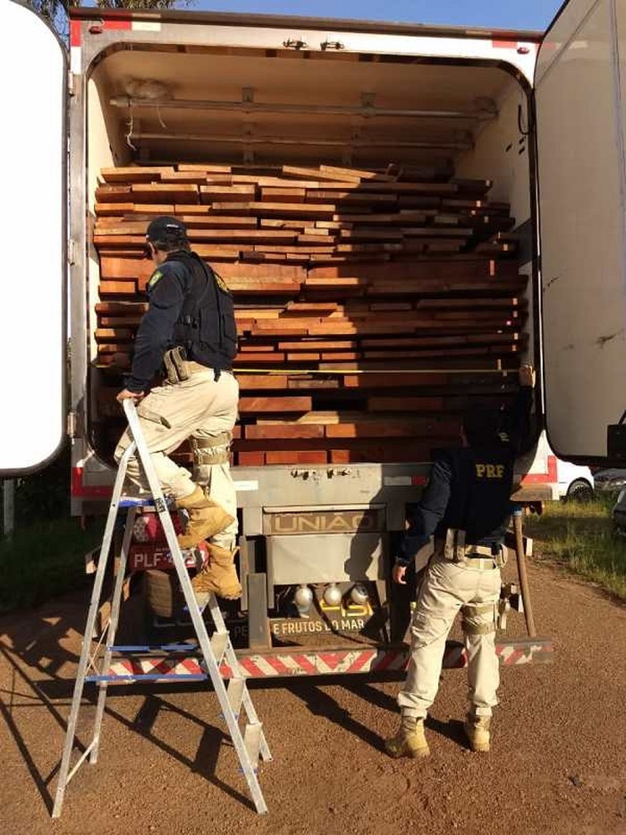  PRF apreende madeira ilegal em Altamira — Foto: Ascom/ PRF PRF apreende madeira ilegal em Altamira — Foto: Ascom/ PRF
