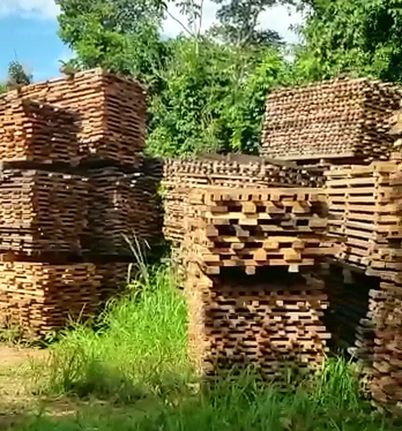 Mais de 80 pilhas de Castanheira beneficiada são encontradas durante fiscalização — Foto: Arquivo pessoal