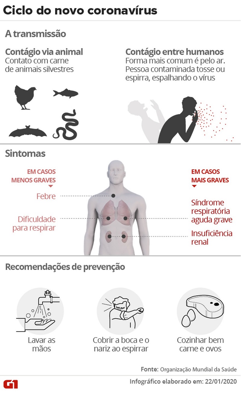 Ciclo do novo coronavírus - transmissão e sintomas — Foto: Aparecido Gonçalves/Arte G1 