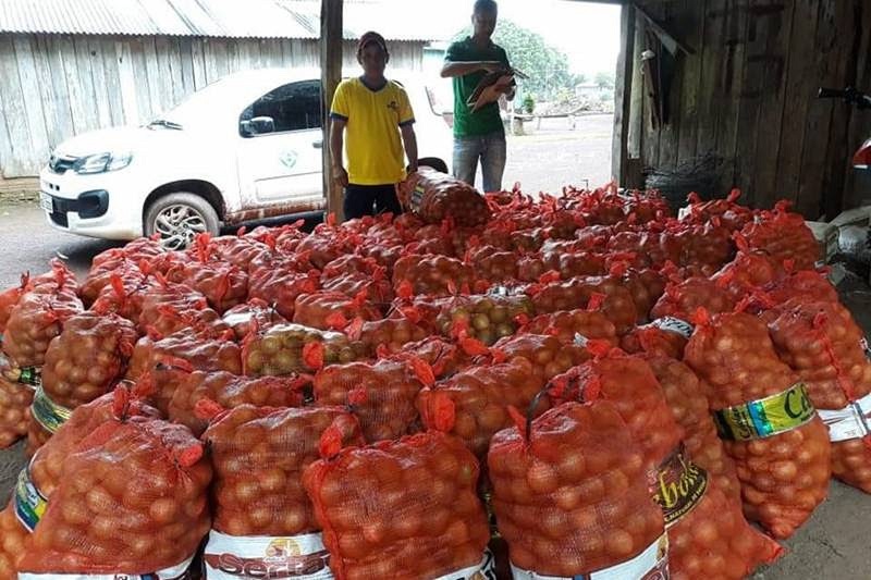 Produtor pioneiro da região, Zezinho Pedreiro começou a trabalhar com o fruto há 25 anos — Foto: Agência Pará/Divulgação