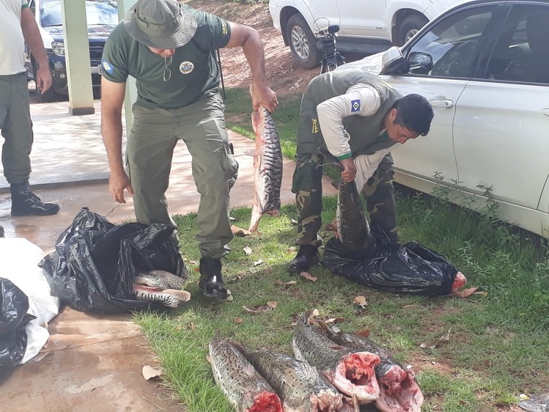  Polícia diz que criminosos fomentam a pesca predatória — Foto: Eliseu Isaias/ TVCA