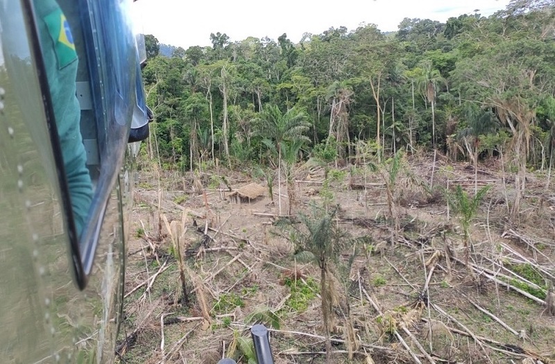 Agentes do Ibama encontram área de 72 hectares de devastação em terra indígena Koatinemo, no sudoeste do Pará. — Foto: Ibama