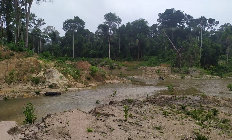 Área Periciada (Foto:Via WhatsApp Jornal Folha do Progresso)