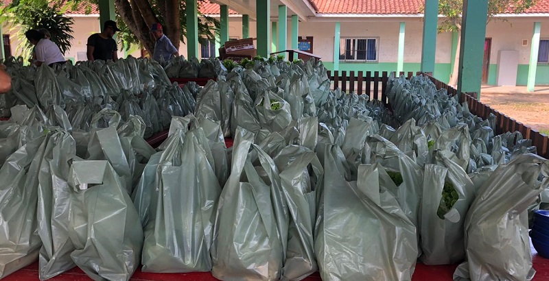 Kit sendo distribuídos nas escolas (Foto:Divulgação SMED)