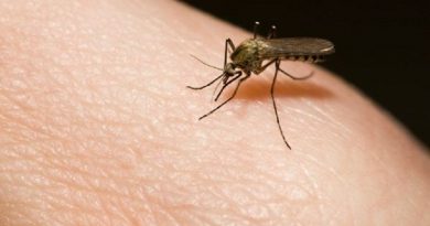 MALARIA