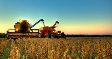 colheita-lavoura-soja-sao-borja-rio-grande-sul-20100429-original