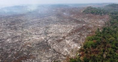 ÁREA DESMATADA NA FLONA JAMANXIM