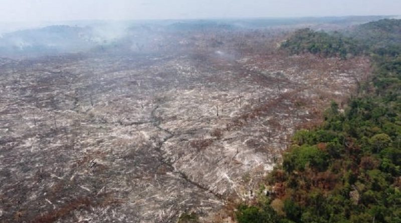 ÁREA DESMATADA NA FLONA JAMANXIM