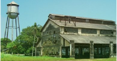 fordlandia