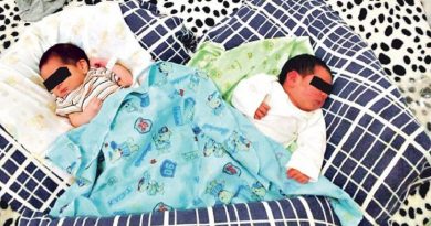 gemeosindigenas-768x402