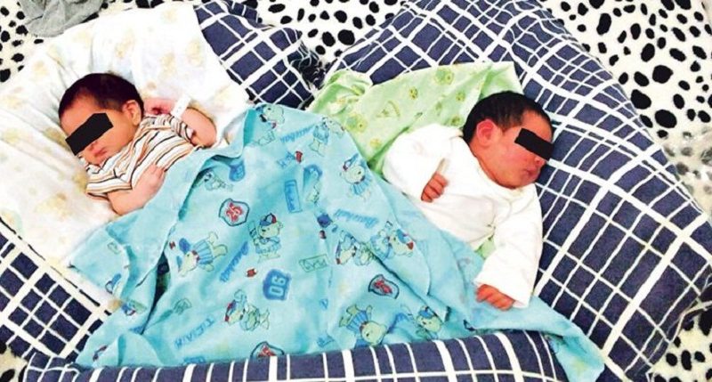 gemeosindigenas-768x402