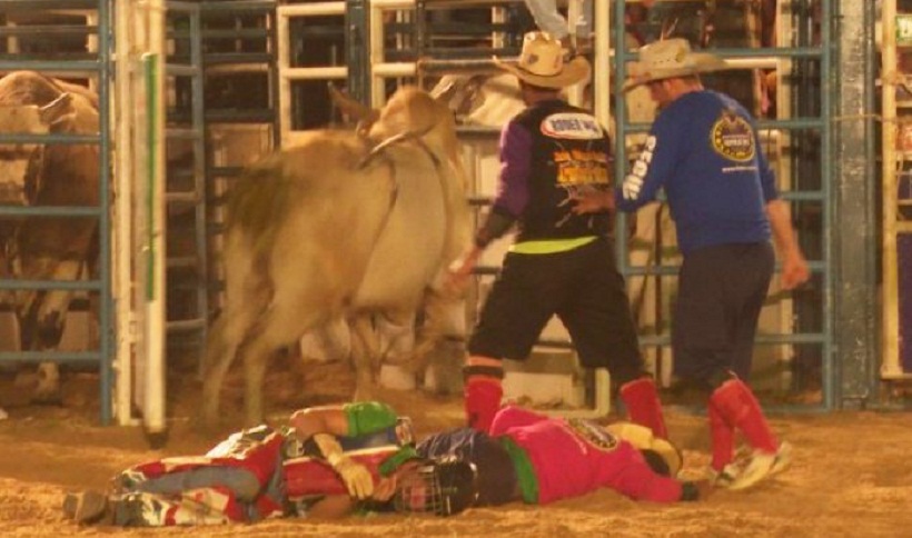 Peão de rodeio é pisoteado por touro de 800 kg e morre :: Notícias