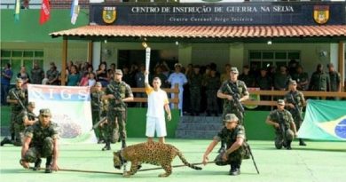 Foto: Divulgação/Cigs - Valdo Leão