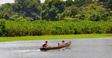 Foto: Reprodução / Ideflor-bio