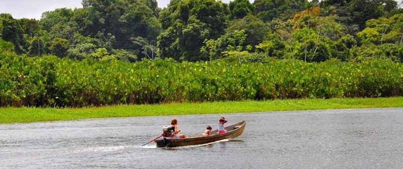 Foto: Reprodução / Ideflor-bio