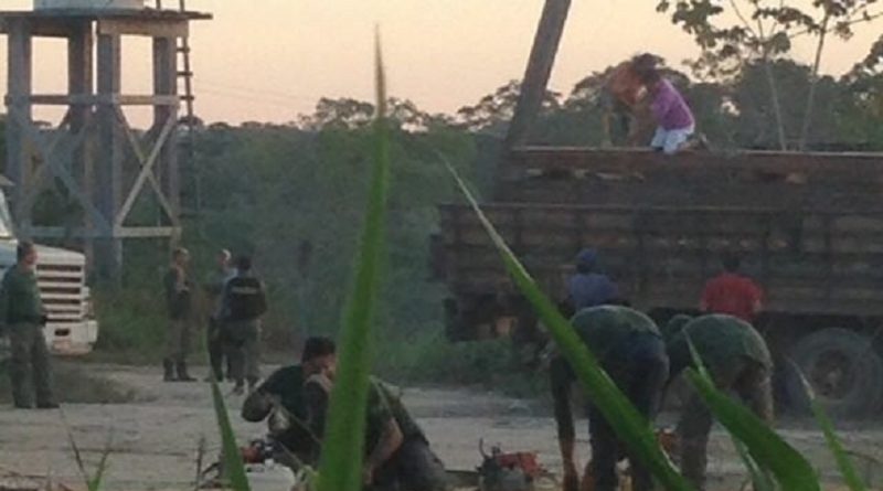 Madeira destruída por fiscais ambientais com motor serra